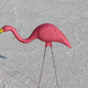 Illustration for article titled I Saw How Hard It Really Is to Hit 200 MPH on the Bonneville Salt Flats